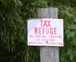 tax-refuge.jpg