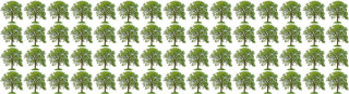 60-trees.jpg