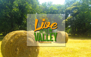 live-the-valley-banner.jpg