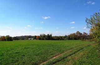 Beaver Valley high meadow next to winery.jpg