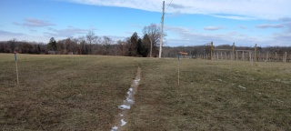 Stakes in the ground high meadow 3.jpg