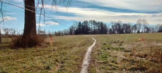 Stakes in the ground high meadow 2.jpg